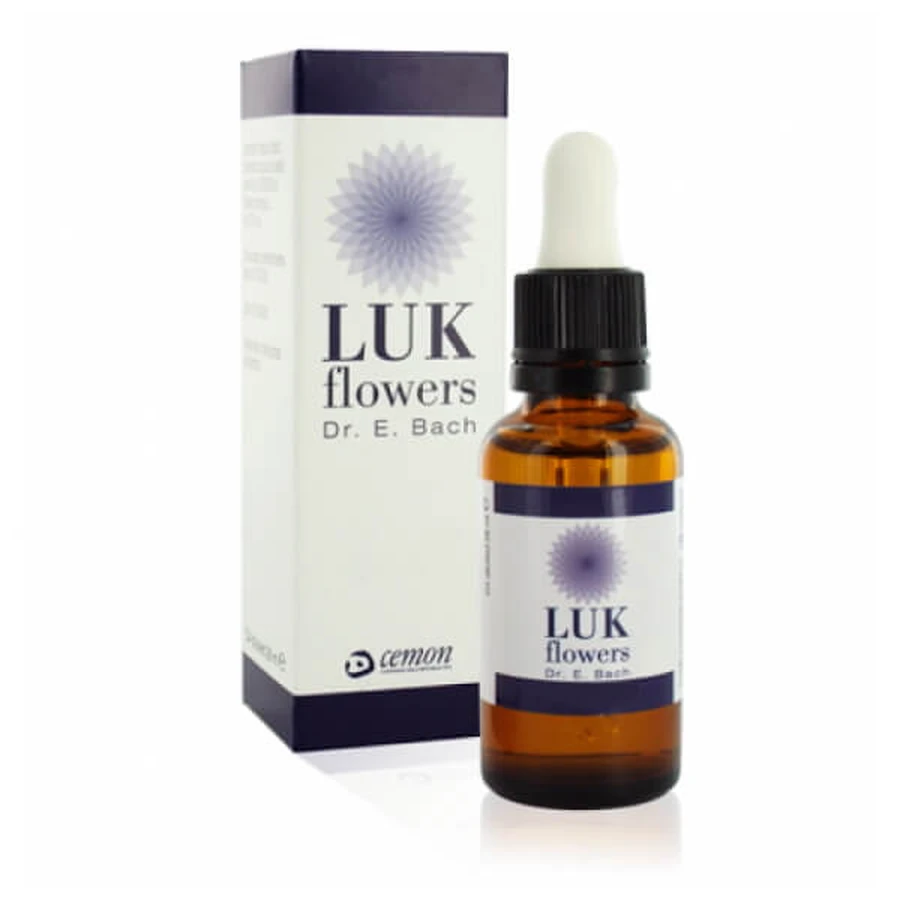Luk Blumen Sweet Chest 10ml Zimt