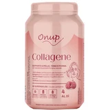 ONUP COLLAGEN 60GOMM