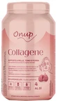 ONUP COLLAGEN 60GOMM