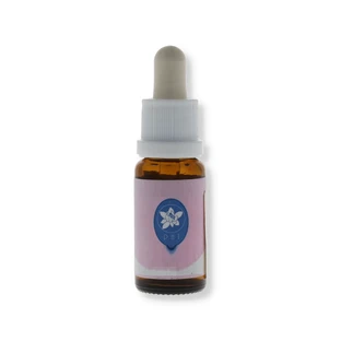 Engel Orchidee Essenz Korta PHI Essenzen 15ml