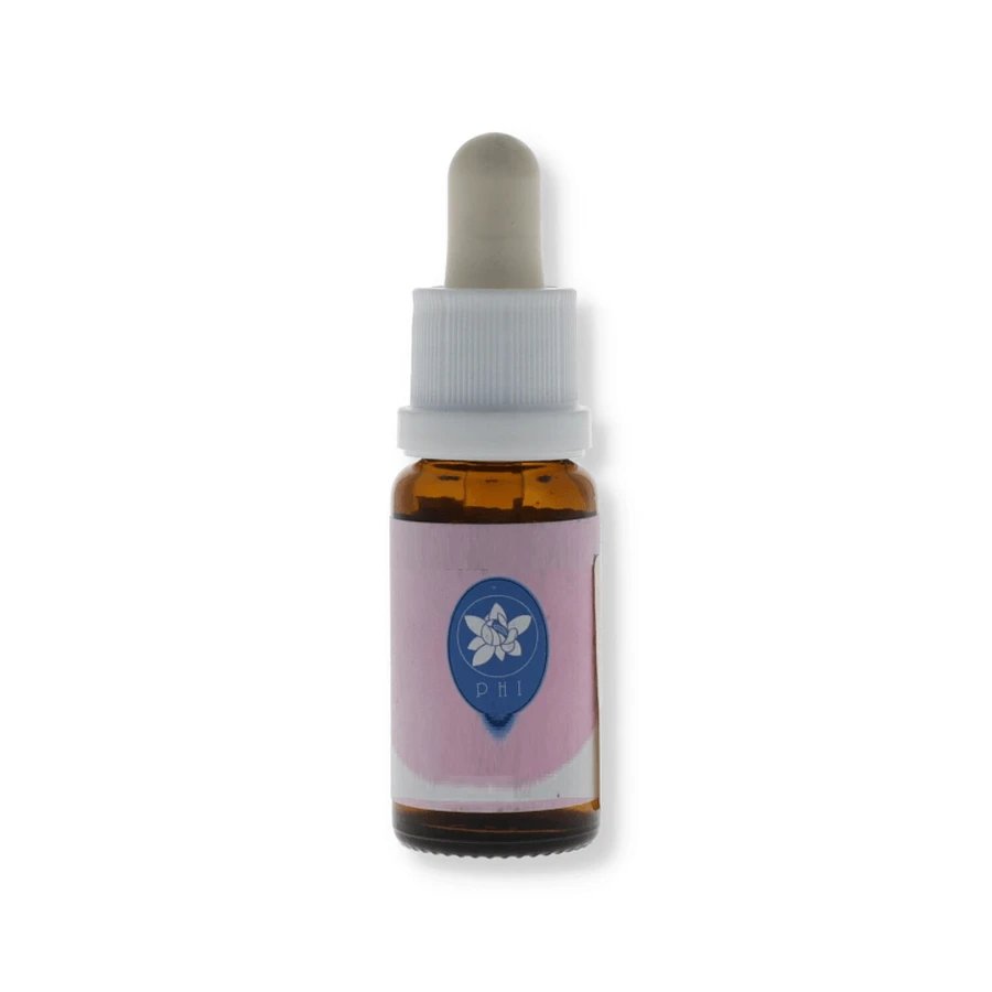 Engel Orchidee Essenz Korta PHI Essenzen 15ml