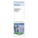 Rhodiola Rosea 60 Kapseln Erbavita