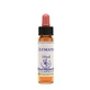 Clematis Essence 10 Ml 1 Piece