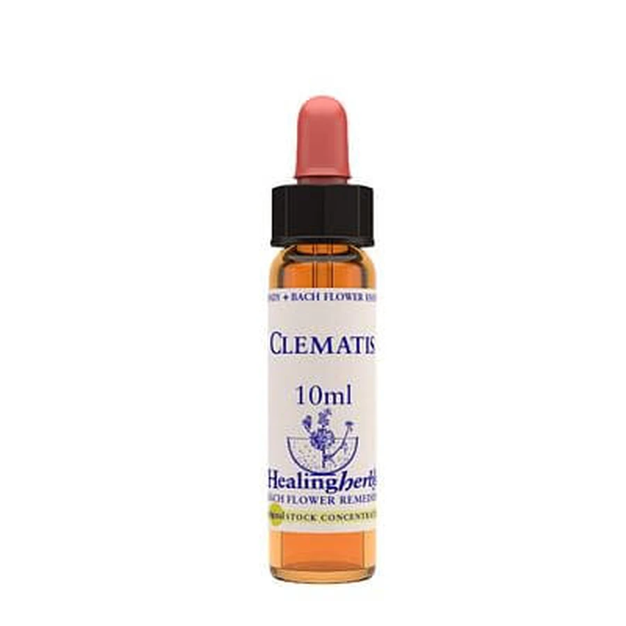 Clematis Essence 10 Ml 1 Piece