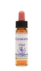 Clematis Essence 10 Ml 1 Piece