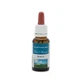 PFIRSICH ITALIENISCHE BLUME 20ML (SUBST