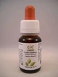 Milk Thistle 60 Ml Drops
