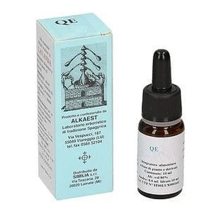 Quintessence Qe13 Mint 10ml