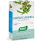 PHYTOCULTURE ASHWAGANDHA 40CPS