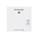 Dr. Hauschka Natuurlijke Gezichtsblush 01 Framboos met minerale pigmenten 5g
