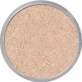 Kryolan TL9 Polvo translúcido TL9 polvo 60g
