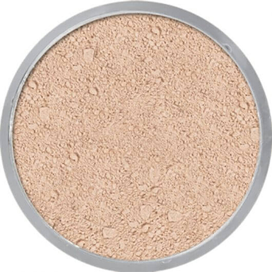 Comprar Kryolan TL9 Polvo translúcido TL9 polvo 60g Kryolan TL9 Polvo translúcido TL9 polvo 60g