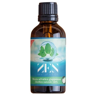 Huile Spirituelle Menthe Zen100ml