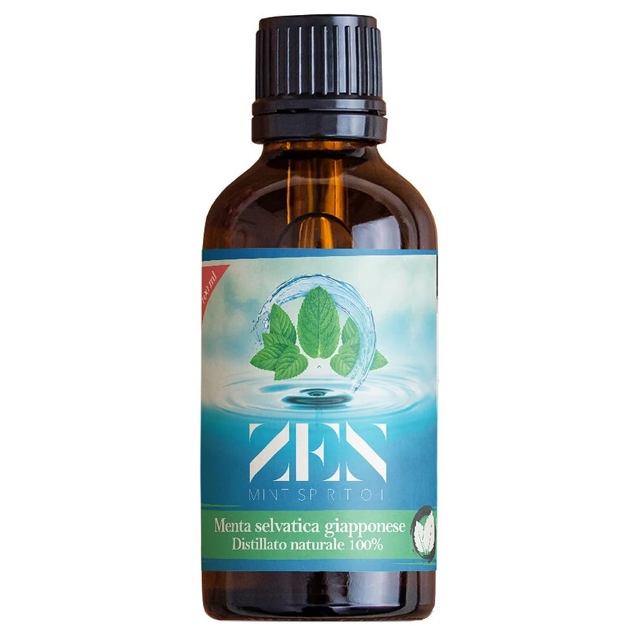 Huile Spirituelle Menthe Zen100ml