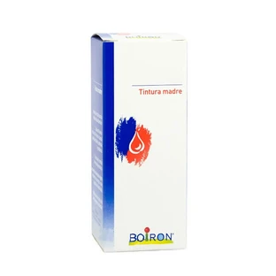 Fraxinus Americana 60ml Tm