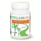 Psyllium-Basis-Pulver 200g