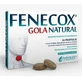 Fenecox Gola Natural Honey Lemon 36 Tablets