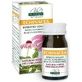 Echinacea Extracto Titulado 60 Comprimidos Giorgini