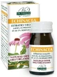 Echinacea Titrated Extract 60 Tablets Giorgini