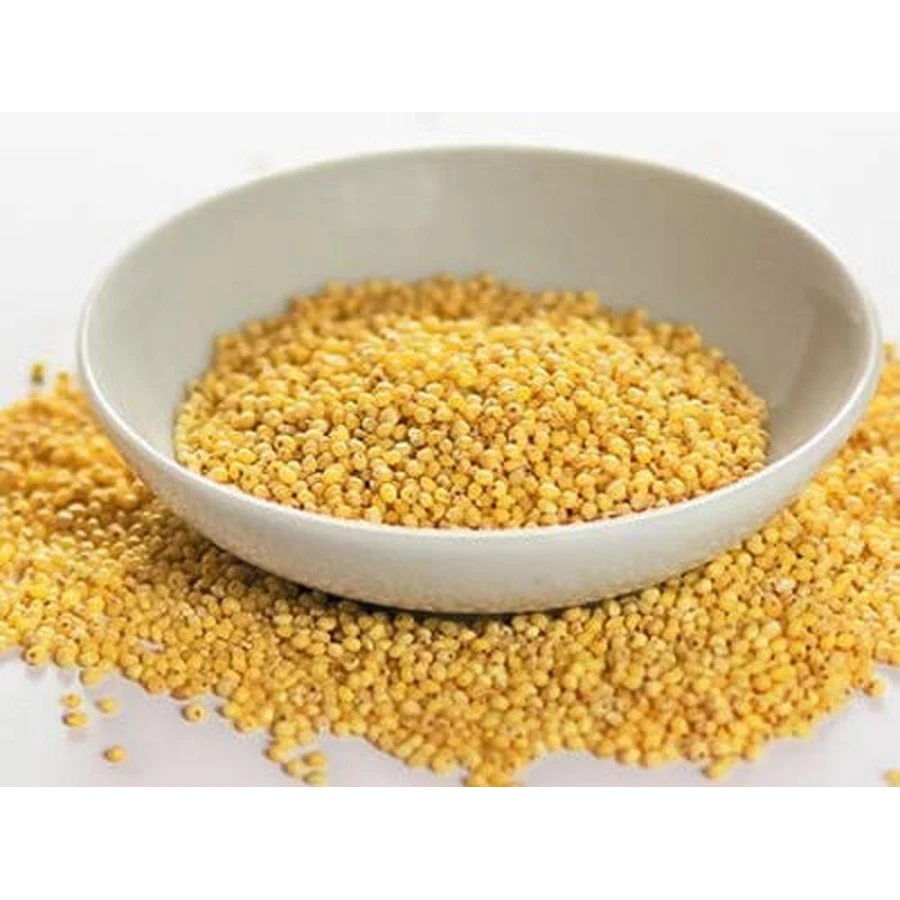 Millet blanc Fruits décortiqués (caryos)