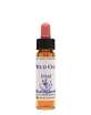 WILD OAT ESS 10ML INGL HERBS
