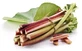 Rhubarb Rhizome Powder 100 G