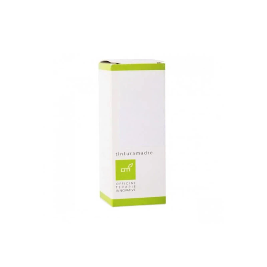 THYMIAN VULGARIS TM TROPFEN 100ML