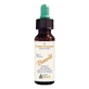 BENOIT BACH PENTA REMEDY 10ML