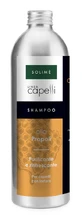 PROPOLIS SHAMPOO 250ML N/F