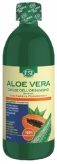 ESI ZUMO DE ALOE VERA PAPAYA SAM