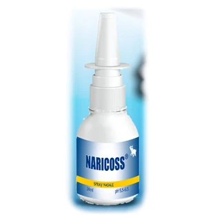 NARICOSS NASENSPRAY 24ML