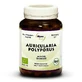 AURICULARIA 93 CPS FREELAND
