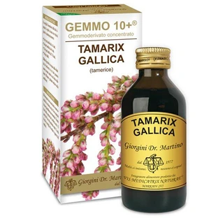 TAMERICE 100ML ANALCOLICO GEMMO 10+ GIORGINI