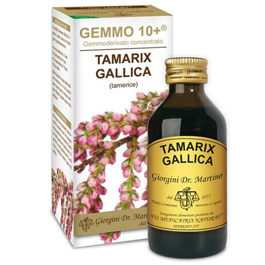 TAMERICE 100ML ANALCOLICO GEMMO 10+ GIORGINI