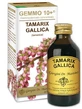 TAMERICE 100ML ANALCOLICO GEMMO 10+ GIORGINI