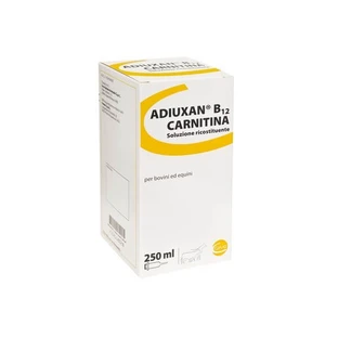 Rossovet Carnitina*fl 500ml