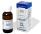 EXTRAGEM Olmo Gemme 20ml