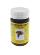 Sangan Bio Powder 62 G