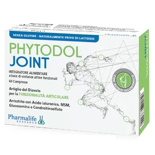 PHYTODOL Joint 60 Tabletten