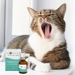 Vet Oral Protector, orale Flüssigkeit für Hund und Katze, Spray, 30 ml.