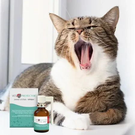 Vet Oral Protector, orale Flüssigkeit für Hund und Katze, Spray, 30 ml.