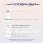 Lote de 2 Bebilon PROfutura DUOBIOTIK 4, leche maternizada a partir de los 2 años, polvo, 800 g