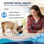 Forza10 Renal active vet - alimento completo para perros con problemas renales e intolerancias 4 kg
