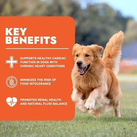 Forza10 Renal active vet - alimento completo para perros con problemas renales e intolerancias 4 kg