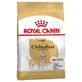 Royal canin Chihuahua adult - pienso 500 g