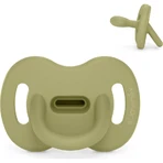Suavinex color essence - silicone soother 6-18 months - tortoise green