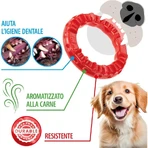Ferplast Smile medium - anneau dentaire rouge taille moyenne