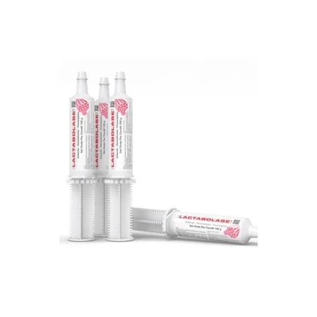 Acme Lactabolase chevaux gel oral - aliment complémentaire pour chevaux et poulains sport 100 gr.