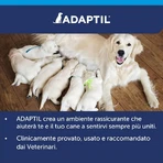 Ceva salud animal Adaptil calm - 3 recambios para difusor con feromonas para perro serenidad 60 ml