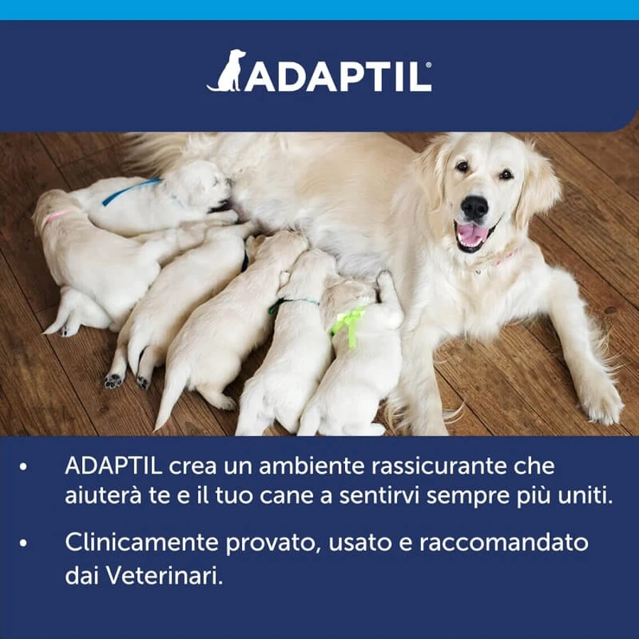 Ceva salud animal Adaptil calm - 3 recambios para difusor con feromonas para perro serenidad 60 ml